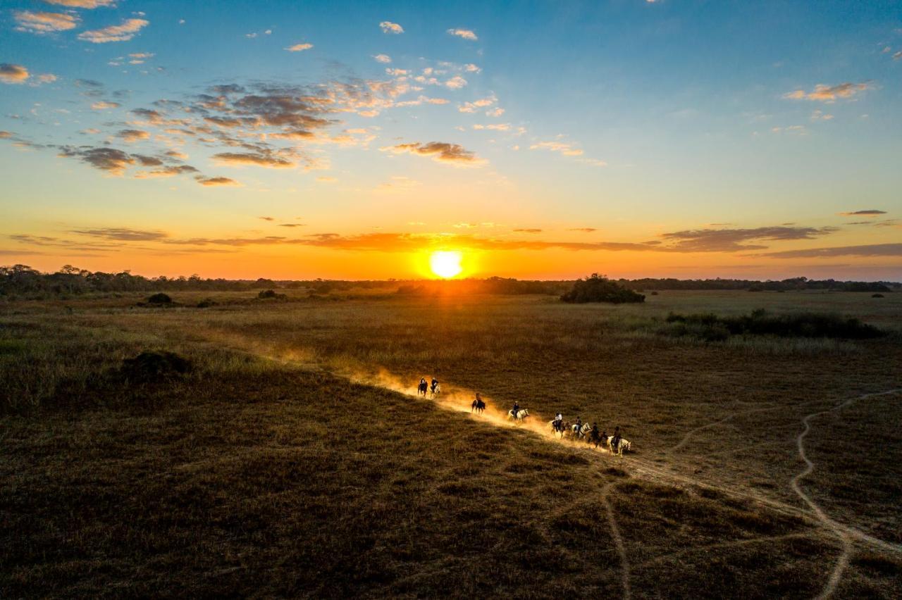 Pousada Araras Pantanal Eco Lodge Carvoalzinho Eksteriør bilde