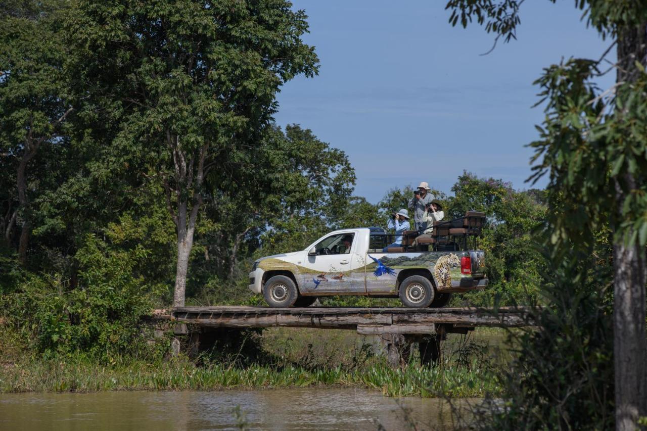 Pousada Araras Pantanal Eco Lodge Carvoalzinho Eksteriør bilde