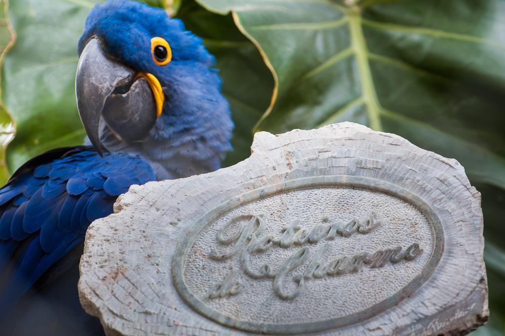 Pousada Araras Pantanal Eco Lodge Carvoalzinho Eksteriør bilde