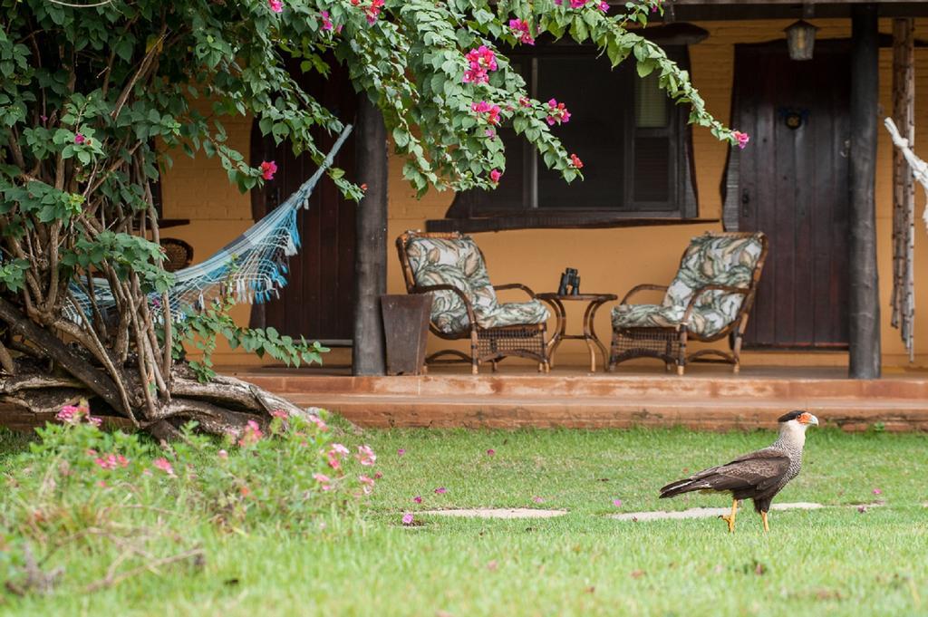 Pousada Araras Pantanal Eco Lodge Carvoalzinho Eksteriør bilde