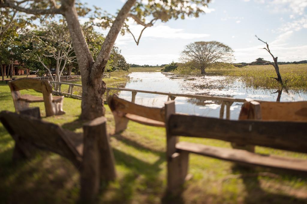 Pousada Araras Pantanal Eco Lodge Carvoalzinho Eksteriør bilde