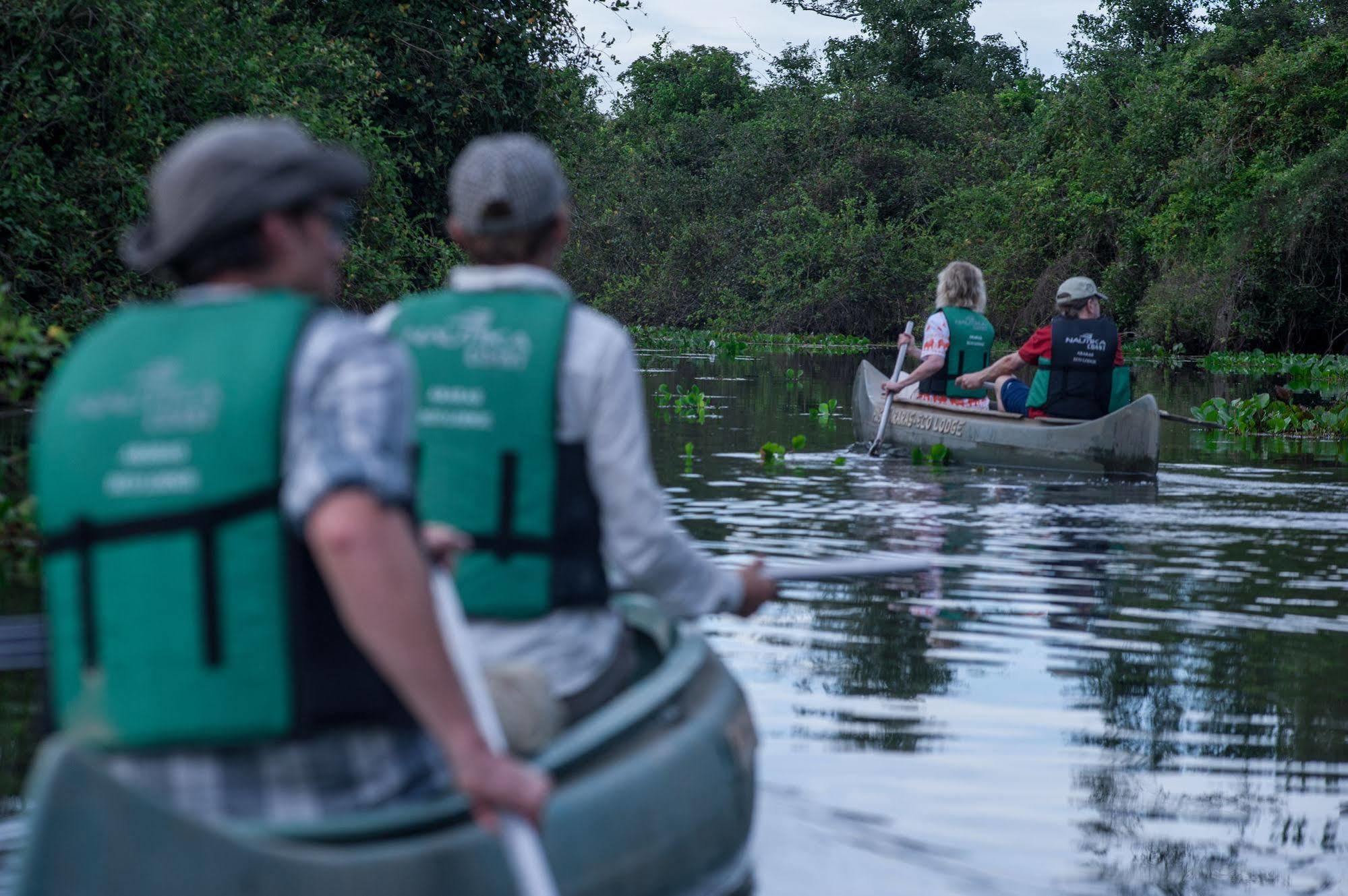 Pousada Araras Pantanal Eco Lodge Carvoalzinho Eksteriør bilde